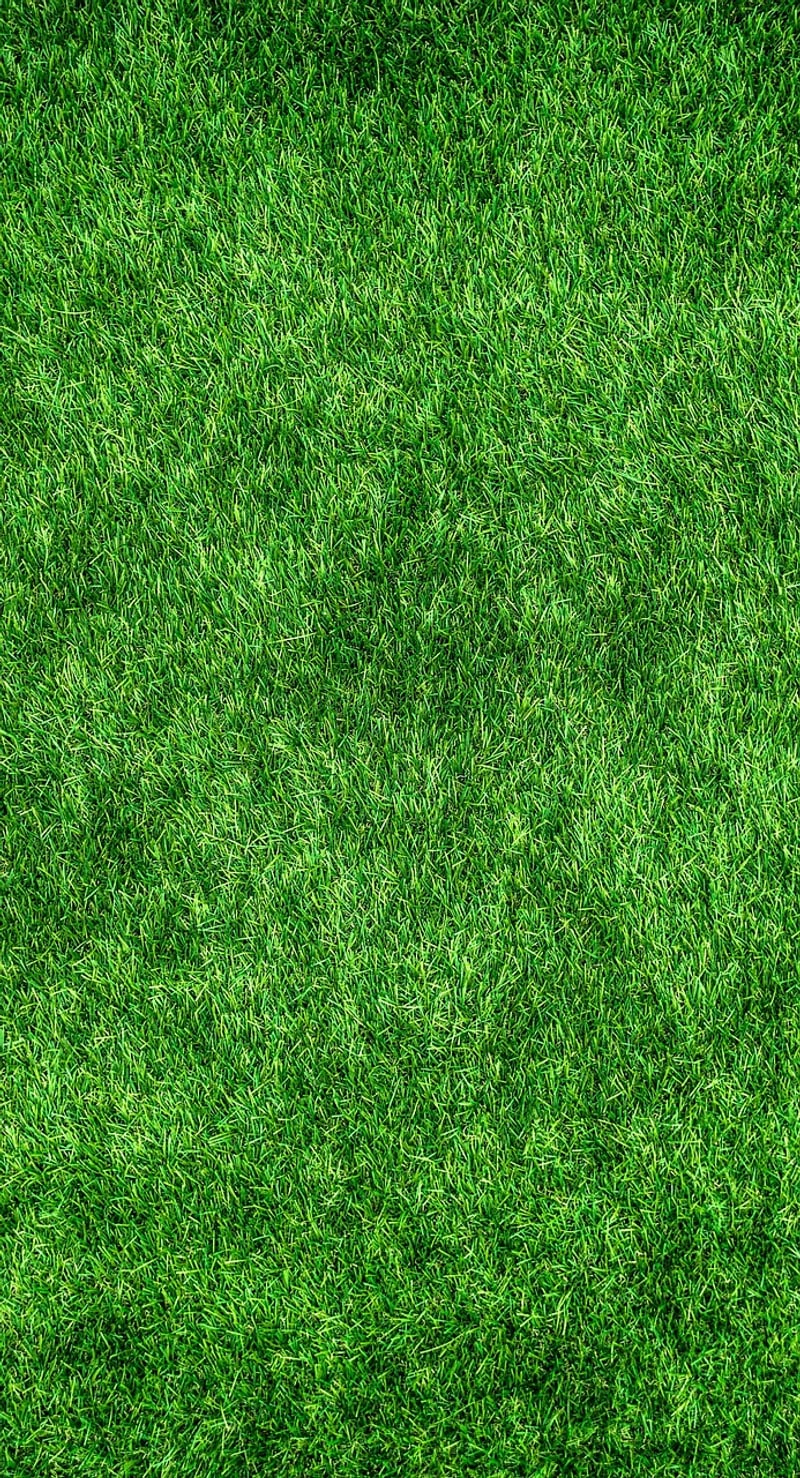 Eco-Friendly Materials Directory